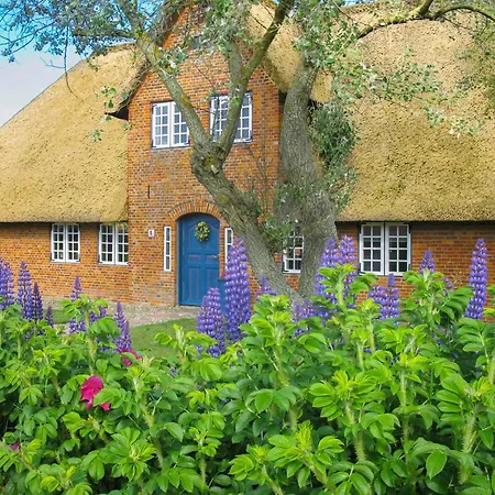 公寓 Friesenhaus Sara S1 文尼斯塔特